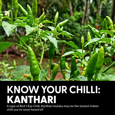Kantha Bomb