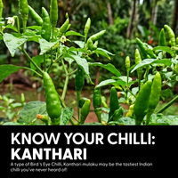 Kantha Bomb